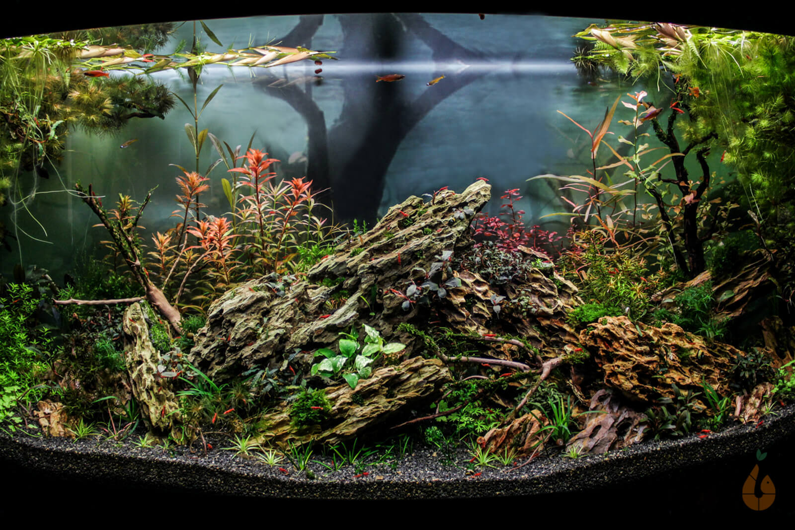 Aquarium Deko Komplettset Steine Wurzel Aquascaping Hardscape Set Nr.18