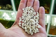 Lade das Bild in den Galerie-Viewer, 50g Korallenbruch | 5-20mm | Für Brackwasser / Salzwasser / Süßwasser