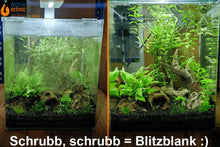 Lade das Bild in den Galerie-Viewer, Aquarium Algenfrei, algenfreies Aquarium