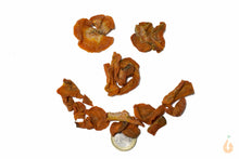 Lade das Bild in den Galerie-Viewer, Aqua Birne - Premium Karotten Chips | Zusatzfutter