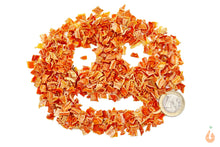 Lade das Bild in den Galerie-Viewer, Aqua Birne - Premium Karotten Chips Mini | Einzelfuttermittel