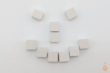 Lade das Bild in den Galerie-Viewer, Aqua Birne - Premium Mineral Cubes | Mineralien Würfel für das Aquarium - Mineral Basic