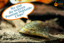 Lade das Bild in den Galerie-Viewer, Batmanschnecke / Fledermausschnecke | Neritina auriculata sucht die leckeren Premium Hokkaido Chips von Aqua Birne