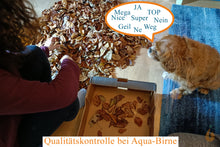 Lade das Bild in den Galerie-Viewer, Aqua Birne Qualitätskontrolle der Seemandelbaumblätter / Catappa Blätter 10-15cm | Premium Qualität