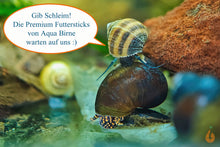 Lade das Bild in den Galerie-Viewer, Blue Jelly Schnecke und Blueberry Schnecke als Aquariumschnecken mit Aqua Birne Premium Sticks als Futter