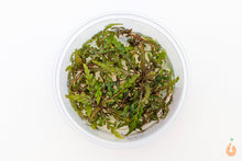 Lade das Bild in den Galerie-Viewer, Fiederspaltiger Wasserfreund Hygrophila pinnatifida In Vitro Aquariumpflanze für das Garnelenaquarium
