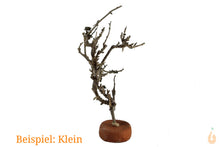 Lade das Bild in den Galerie-Viewer, Wurzel-Birnes Überraschungs Garnelenbaum für das Aquarium - klein