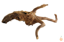 Lade das Bild in den Galerie-Viewer, Spiderwood Nr.100 | 23x7x23cm (BxHxT)