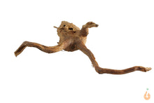 Lade das Bild in den Galerie-Viewer, Spiderwood Nr.100 | 23x7x23cm (BxHxT)