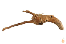 Lade das Bild in den Galerie-Viewer, Spiderwood Nr.100 | 23x7x23cm (BxHxT)