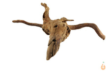 Lade das Bild in den Galerie-Viewer, Spiderwood Nr.100 | 23x7x23cm (BxHxT)