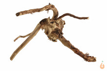 Lade das Bild in den Galerie-Viewer, Spiderwood Nr.101 | 23x13x20cm (BxHxT)
