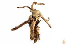 Lade das Bild in den Galerie-Viewer, Spiderwood Nr.101 | 23x13x20cm (BxHxT)