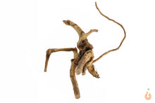 Lade das Bild in den Galerie-Viewer, Spiderwood Nr.102 | 24x7x19cm (BxHxT)