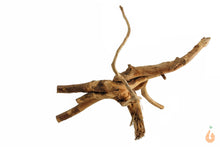 Lade das Bild in den Galerie-Viewer, Spiderwood Nr.102 | 24x7x19cm (BxHxT)