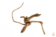 Lade das Bild in den Galerie-Viewer, Spiderwood Nr.102 | 24x7x19cm (BxHxT)