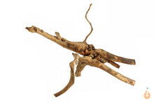 Lade das Bild in den Galerie-Viewer, Spiderwood Nr.102 | 24x7x19cm (BxHxT)