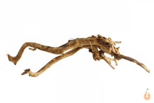 Lade das Bild in den Galerie-Viewer, Moorwurzel Nr.103 | 26x7x14cm (BxHxT)