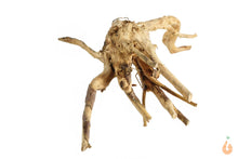 Lade das Bild in den Galerie-Viewer, Moorwurzel Nr.103 | 26x7x14cm (BxHxT)