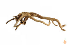 Lade das Bild in den Galerie-Viewer, Moorwurzel Nr.103 | 26x7x14cm (BxHxT)