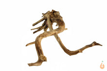 Lade das Bild in den Galerie-Viewer, Moorwurzel Nr.103 | 26x7x14cm (BxHxT)