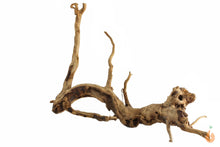 Lade das Bild in den Galerie-Viewer, Moorwurzel Nr.104 | 25x15x17cm (BxHxT)