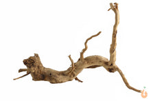 Lade das Bild in den Galerie-Viewer, Moorwurzel Nr.104 | 25x15x17cm (BxHxT)