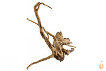 Lade das Bild in den Galerie-Viewer, Moorwurzel Nr.104 | 25x15x17cm (BxHxT)