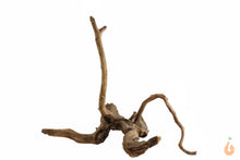 Lade das Bild in den Galerie-Viewer, Spiderwood Nr.105 | 21x17x17cm (BxHxT)