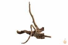 Lade das Bild in den Galerie-Viewer, Spiderwood Nr.105 | 21x17x17cm (BxHxT)