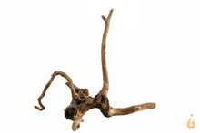 Lade das Bild in den Galerie-Viewer, Spiderwood Nr.105 | 21x17x17cm (BxHxT)