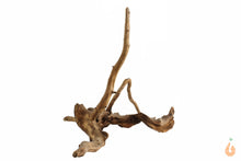 Lade das Bild in den Galerie-Viewer, Spiderwood Nr.105 | 21x17x17cm (BxHxT)