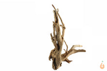 Lade das Bild in den Galerie-Viewer, Spiderwood Nr.106 | 21x17x17cm (BxHxT)