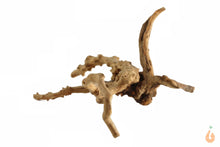 Lade das Bild in den Galerie-Viewer, Spiderwood Nr.107 | 24x10x17cm (BxHxT)