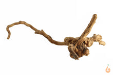 Lade das Bild in den Galerie-Viewer, Spiderwood Nr.107 | 24x10x17cm (BxHxT)