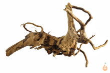 Lade das Bild in den Galerie-Viewer, Spiderwood Nr.108 | 24x12x21cm (BxHxT)