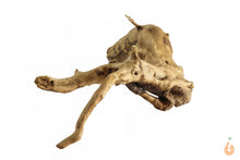 Lade das Bild in den Galerie-Viewer, Moorwurzel Nr.109 | 23x7x12cm (BxHxT)