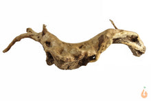 Lade das Bild in den Galerie-Viewer, Moorwurzel Nr.109 | 23x7x12cm (BxHxT)