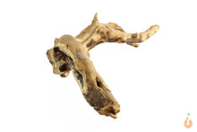 Lade das Bild in den Galerie-Viewer, Moorwurzel Nr.109 | 23x7x12cm (BxHxT)