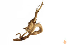 Lade das Bild in den Galerie-Viewer, Moorwurzel Nr.110 | 22x12x10cm (BxHxT)