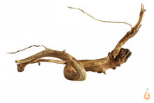 Lade das Bild in den Galerie-Viewer, Moorwurzel Nr.110 | 22x12x10cm (BxHxT)