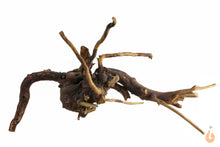 Lade das Bild in den Galerie-Viewer, Spiderwood Nr.112 | 25x13x13cm (BxHxT)