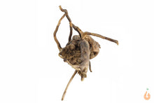 Lade das Bild in den Galerie-Viewer, Spiderwood Nr.112 | 25x13x13cm (BxHxT)