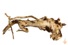 Lade das Bild in den Galerie-Viewer, Moorwurzel Nr.113 | 24x9x22cm (BxHxT)