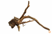 Lade das Bild in den Galerie-Viewer, Spiderwood Nr.114 | 20x14x18cm (BxHxT)