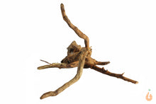 Lade das Bild in den Galerie-Viewer, Spiderwood Nr.114 | 20x14x18cm (BxHxT)