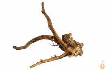 Lade das Bild in den Galerie-Viewer, Spiderwood Nr.114 | 20x14x18cm (BxHxT)