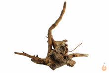 Lade das Bild in den Galerie-Viewer, Spiderwood Nr.114 | 20x14x18cm (BxHxT)