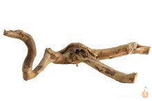 Lade das Bild in den Galerie-Viewer, Moorwurzel Nr.115 | 24x9x18cm (BxHxT)