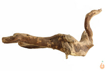 Lade das Bild in den Galerie-Viewer, Moorwurzel Nr.115 | 24x9x18cm (BxHxT)